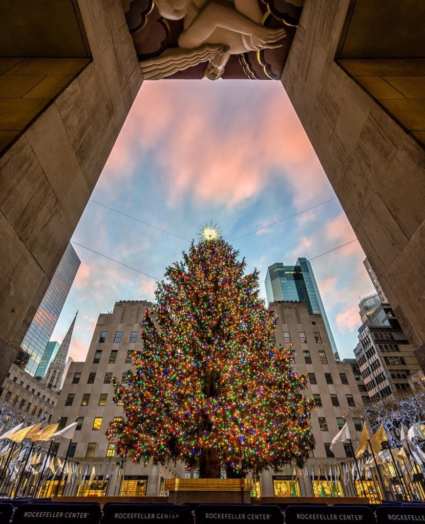 Arvore de Natal – Nova York NYC